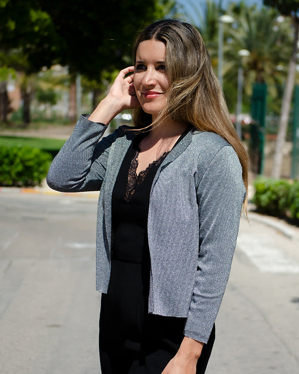 Abrigo gris terciopelo + Bolso de mano gris terciopelo + Bolso negro + Correa étnica negra + Chaqueta plata claro + Chaqueta plata oscuro + Cuelgabolsos